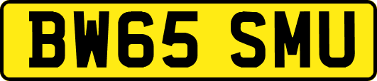 BW65SMU