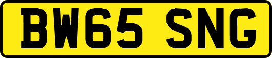 BW65SNG