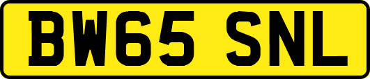 BW65SNL