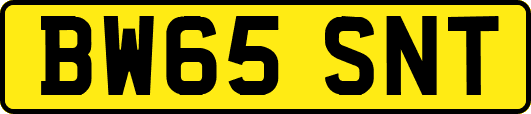 BW65SNT