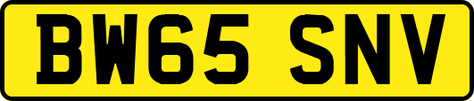 BW65SNV