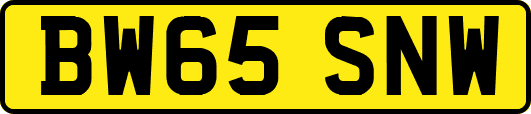 BW65SNW