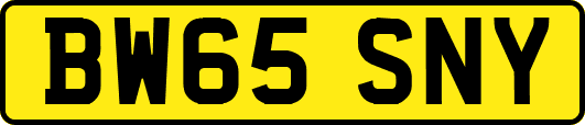 BW65SNY