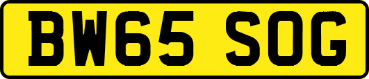 BW65SOG