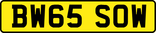 BW65SOW