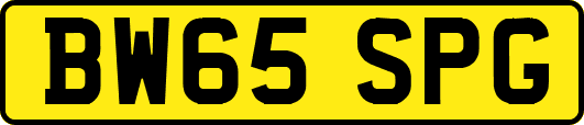 BW65SPG