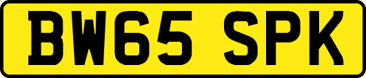 BW65SPK