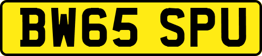 BW65SPU