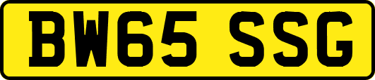 BW65SSG
