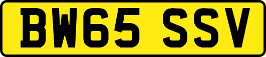BW65SSV