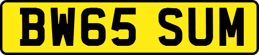 BW65SUM