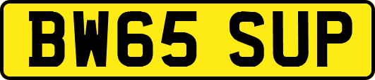BW65SUP