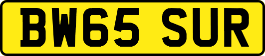 BW65SUR