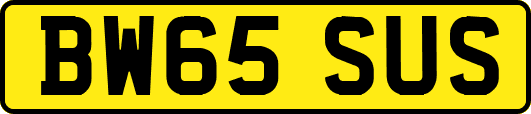 BW65SUS