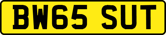 BW65SUT