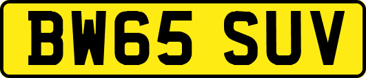 BW65SUV