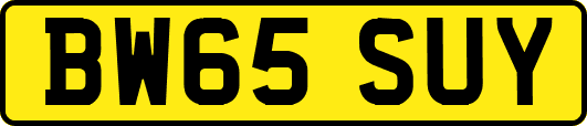 BW65SUY