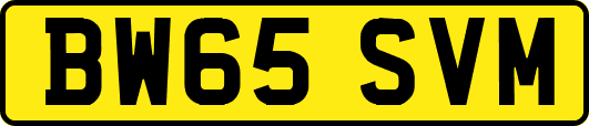 BW65SVM