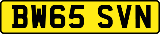 BW65SVN