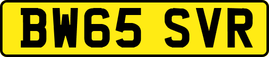 BW65SVR
