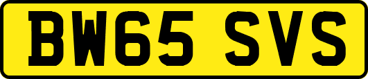 BW65SVS