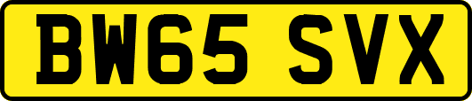 BW65SVX