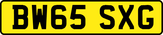 BW65SXG