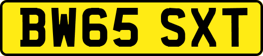 BW65SXT