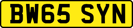 BW65SYN