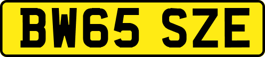 BW65SZE