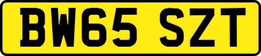 BW65SZT