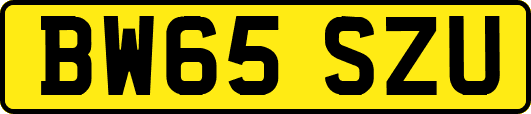 BW65SZU