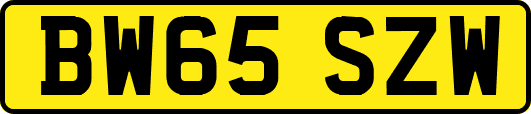 BW65SZW