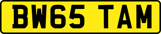 BW65TAM