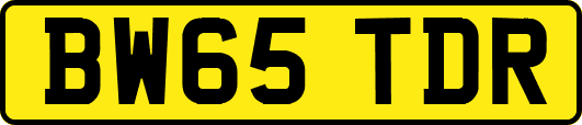 BW65TDR
