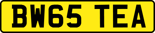 BW65TEA