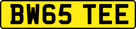 BW65TEE