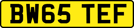 BW65TEF