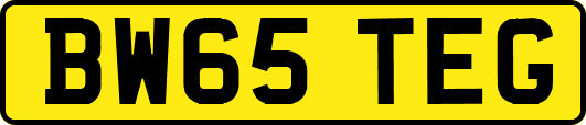 BW65TEG