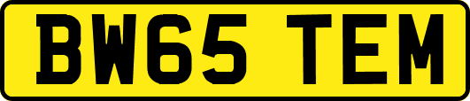 BW65TEM