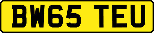 BW65TEU