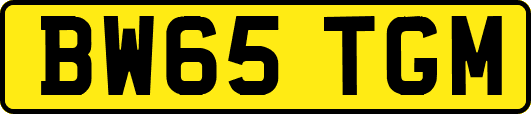 BW65TGM
