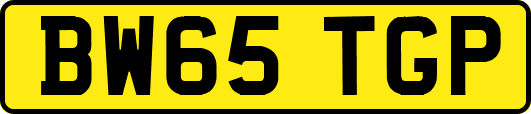 BW65TGP