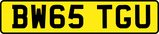 BW65TGU
