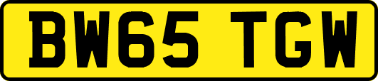 BW65TGW