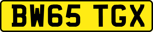 BW65TGX
