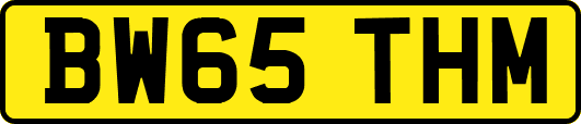 BW65THM
