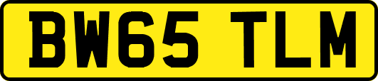 BW65TLM