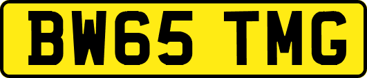 BW65TMG