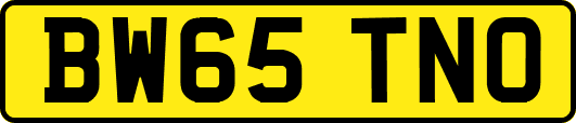 BW65TNO